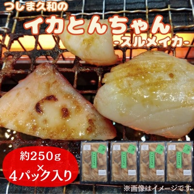 つしま久和のイカとんちゃん-スルメイカバージョン-