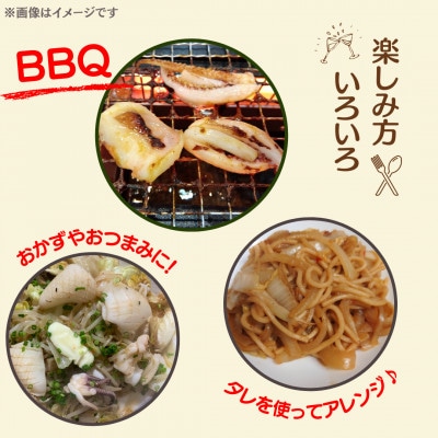 つしま久和のイカとんちゃん-スルメイカバージョン-