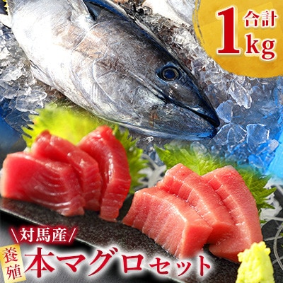 【対馬産】養殖本マグロセット　A