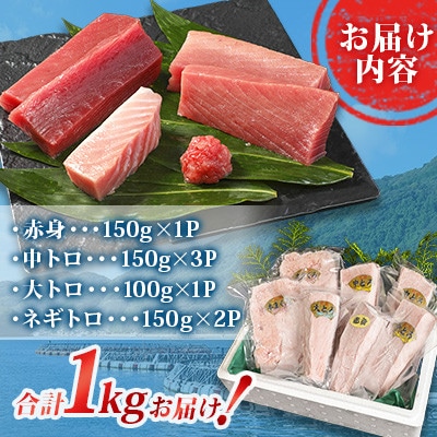 【対馬産】養殖本マグロセット　A