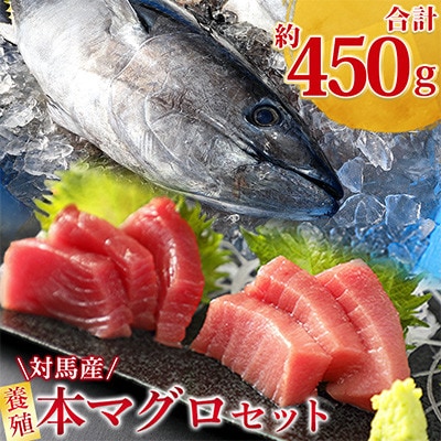 【対馬産】養殖本マグロセット　C