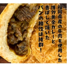 博多黄金カレー【焼きカレーパン】8個入り