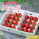 【11月下旬より順次発送】フルーツ専門店が選んだ「あまおう苺」ギフト箱(24-30粒)(大野城市)