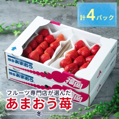 【11月下旬より順次発送】フルーツ専門店が選んだ「あまおう苺」冬4パック(大野城市)