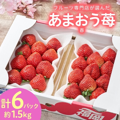 【2026年発送先行受付】フルーツ専門店が選んだ「あまおう苺」春250g×6パック(大野城市)