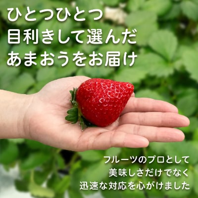 【2026年発送先行受付】フルーツ専門店が選んだ「あまおう苺」春250g×6パック(大野城市)