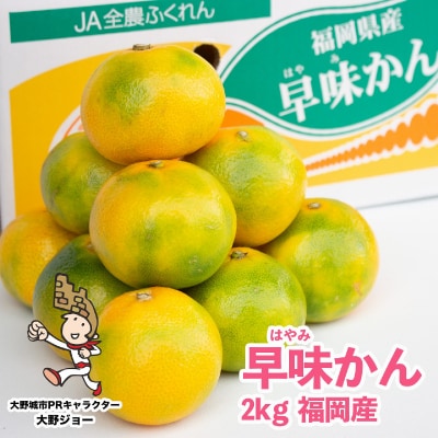 福岡限定!オリジナルブランドみかん「早味かん」約2kg(大野城市)