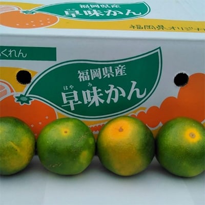 福岡限定!オリジナルブランドみかん「早味かん」約4kg(大野城市)