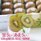 福岡限定!ブランドキウイ「甘うぃ(あまうぃ)」約1.5kg箱(12-15玉)(大野城市)