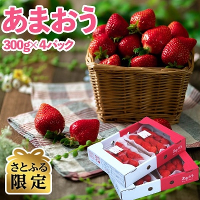 【さとふる限定】春にお届けの苺!(2月～4月)福岡産春あまおう300g×4パック