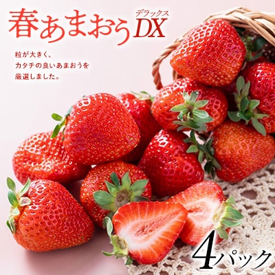 【2026年発送先行受付】フルーツソムリエが選んだ【春】あまおうDX(デラックス)4パック
