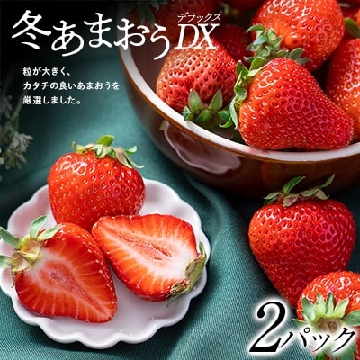 【11月下旬より順次発送】フルーツソムリエが選んだ【冬】あまおうDX(デラックス)2パック