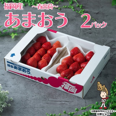 【2027年発送先行受付】フルーツ専門店が選んだ「あまおう苺」春250g×2パック(大野城市)