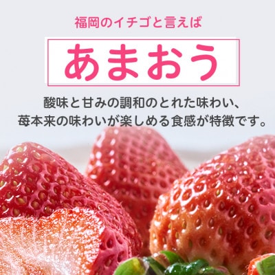 【2027年発送先行受付】フルーツ専門店が選んだ「あまおう苺」春250g×2パック(大野城市)