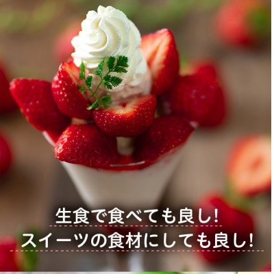 【2027年発送先行受付】フルーツ専門店が選んだ「あまおう苺」春250g×2パック(大野城市)