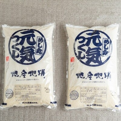 【毎月定期便】福岡県産米『元気つくし』10kg(5kg×2袋)(大野城市)全6回