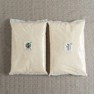 【毎月定期便】福岡県産米『夢つくし』&『元気つくし』各2.5kg(大野城市)全6回