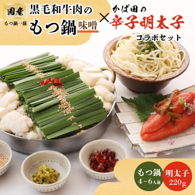 【もつ鍋一藤×かば田】国産黒毛和牛肉のもつ鍋味噌(4～6人前)とかば田の辛子明太子とのコラボセット