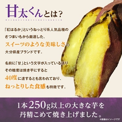 冷凍焼き芋「甘太くん」250g×5本　計1.25kg