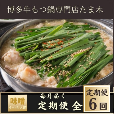 【毎月定期便】【博多牛もつ鍋専門店たま木】牛もつ鍋セット みそ味(4～5人前)牛もつ肉800g全6回