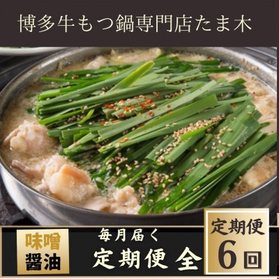 【毎月定期便】【博多牛もつ鍋専門店たま木】牛もつ鍋セット みそ味・醤油味(2～3人前)全6回