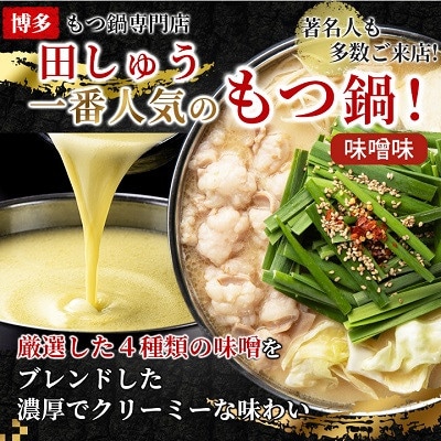 【毎月定期便】【博多もつ鍋専門店　田しゅう】高級国産牛小腸使用　もつ鍋セット味噌味2～3人前全12回