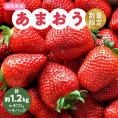 【数量限定】2025年2月より順次発送 あまおう約300g×4パック(約1,200g)
