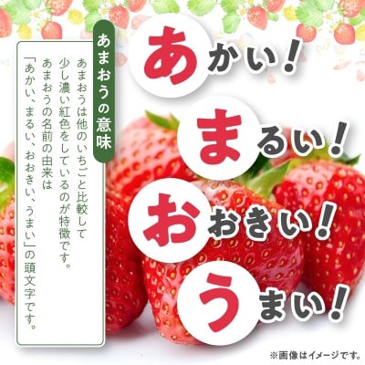 【数量限定】2025年2月より順次発送 あまおう約300g×4パック(約1,200g)