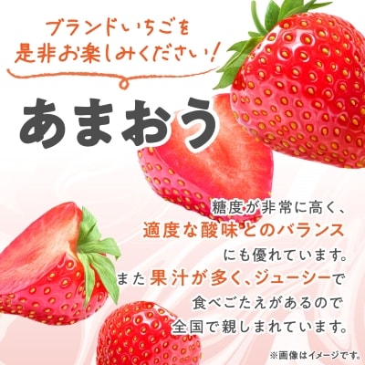 【数量限定】2025年2月より順次発送 あまおう約300g×4パック(約1,200g)