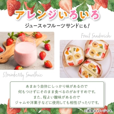 【数量限定】2025年2月より順次発送 あまおう約300g×4パック(約1,200g)