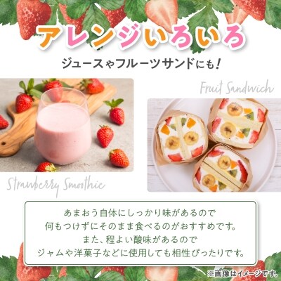 【訳あり】福岡県産ファミリー向けあまおう約270g×4パック(約1,080g)