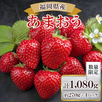 【数量限定】福岡県産あまおう270g×4パック【R7年2月発送開始】
