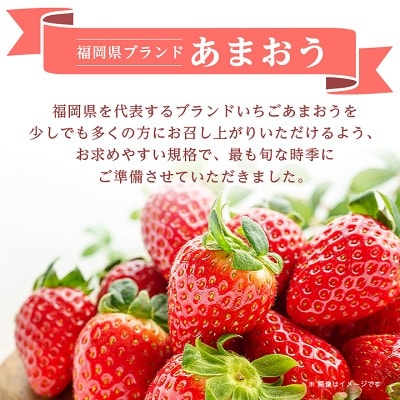 【数量限定】福岡県産あまおう270g×4パック【R7年2月発送開始】