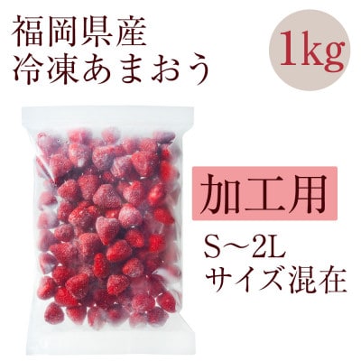 【濃厚な味わい!】冷凍いちご「博多あまおう」1kg(大野城市)