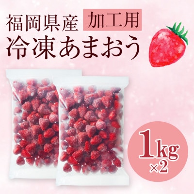 【濃厚な味わい!】冷凍いちご「博多あまおう」1kg×2セット(大野城市)
