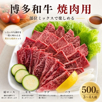 【博多和牛】焼肉用　(合計500g)
