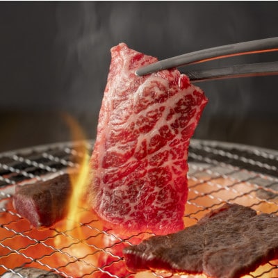 《博多和牛》特選カルビ焼肉用500g(250g×2p)