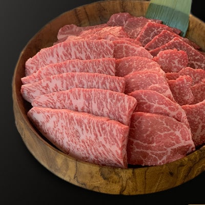 博多和牛焼肉5種食べ比べセット《合計500g》