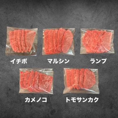 博多和牛焼肉5種食べ比べセット《合計500g》