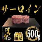 【さとふる限定】博多和牛サーロイン　塊肉　500g　(冷凍便)