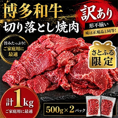 【さとふる限定】【訳あり】博多和牛切り落とし焼肉 　合計1kg(500g×2パック)