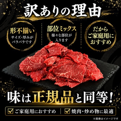 【さとふる限定】【訳あり】博多和牛切り落とし焼肉 　合計1kg(500g×2パック)