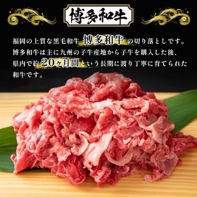 【A4～A5】博多和牛切り落とし  500g