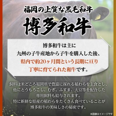 博多和牛切り落とし　400g