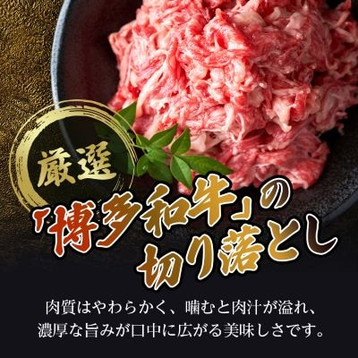 博多和牛切り落とし　600g