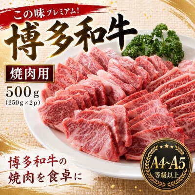 この味プレミアム!【A4～A5】博多和牛焼肉用　500g(250g×2p)(大野城市)
