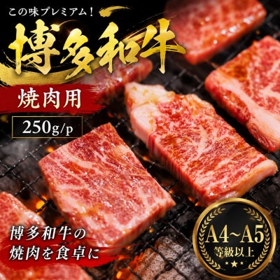 この味プレミアム!【A4～A5】博多和牛焼肉用　250g/p(大野城市)