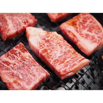 【毎月定期便】訳あり!【A4～A5】博多和牛焼肉切り落とし　1kg(500g×2p)全6回