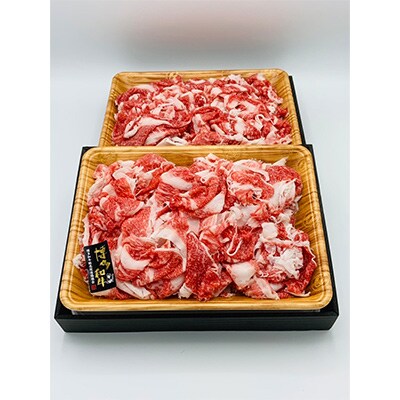 【毎月定期便】【A4～A5】博多和牛切り落とし 1kg(500g×2パック)全6回