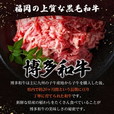 【毎月定期便】訳あり!【A4～A5】博多和牛切り落とし　1.5kg(500g×3パック)全6回